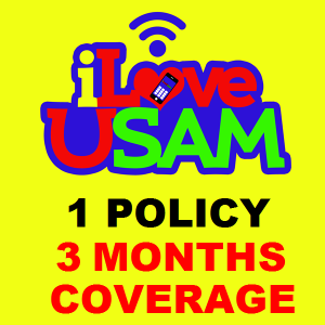 1 Insurance Policy for 3 Months Coverage